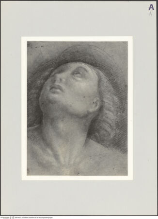 Vorderseite von bh516037_recto