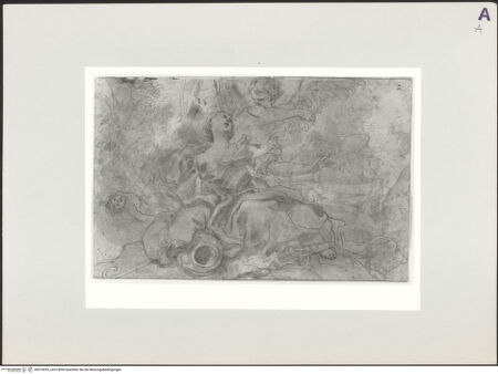 Vorderseite von bh516039_recto