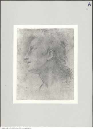 Vorderseite von bh516045_recto