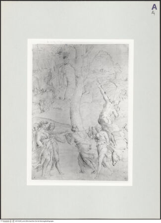 Vorderseite von bh516049_recto