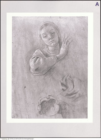 Vorderseite von bh516065_recto