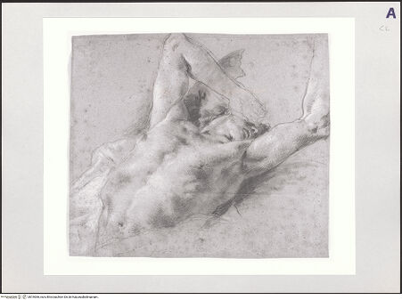 Vorderseite von bh516066_recto