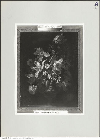 Vorderseite von bh516093_recto