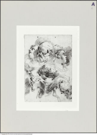 Vorderseite von bh516423_recto