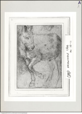 Vorderseite von bh516461_recto