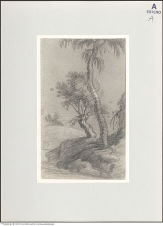 Vorderseite von bh516573_recto