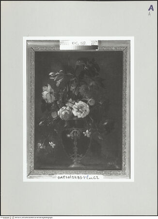 Vorderseite von bh516575_recto