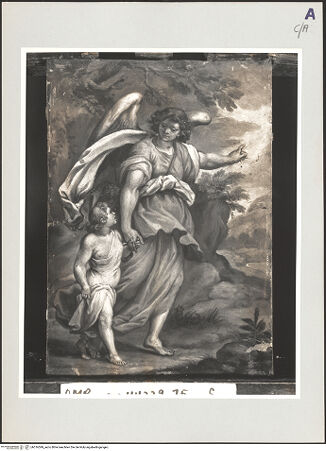 Vorderseite von bh516599_recto