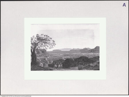 Vorderseite von bh516981_recto