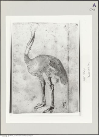 Vorderseite von bh516984_recto