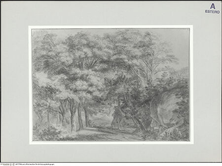 Vorderseite von bh517086_recto