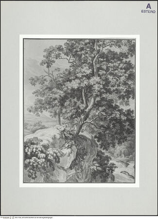 Vorderseite von bh517090_recto