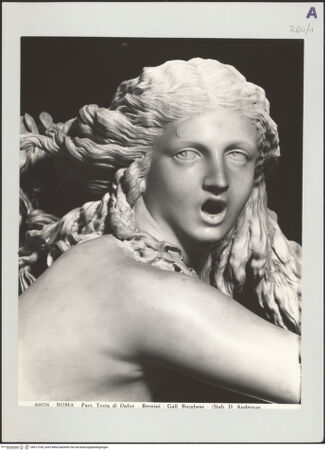 Vorderseite von bh517254_recto