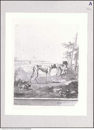 Vorderseite von bh517486_recto