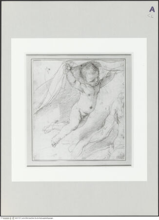 Vorderseite von bh517517_recto