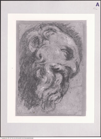 Vorderseite von bh517530_recto