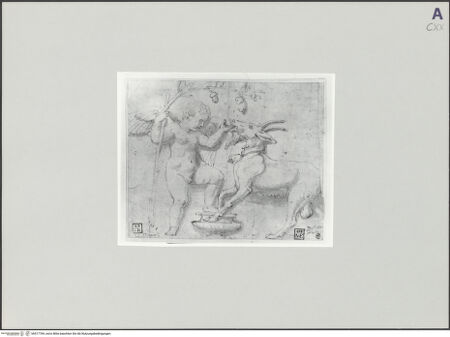 Vorderseite von bh517769_recto