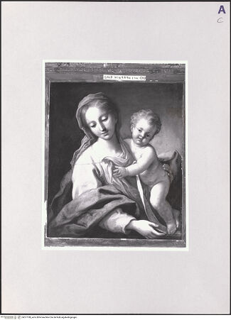 Vorderseite von bh517788_recto