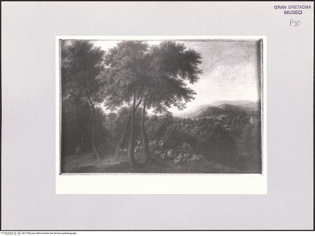 Vorderseite von bh517894_recto