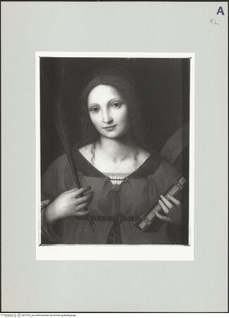 Vorderseite von bh517925_recto