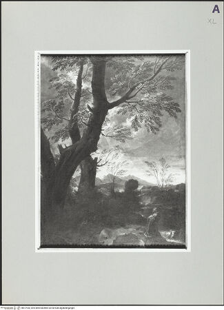 Vorderseite von bh517930_recto