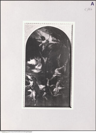 Vorderseite von bh517944_recto