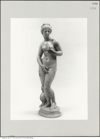 Vorderseite von bh517975_recto