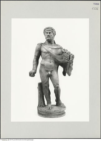 Vorderseite von bh517976_recto