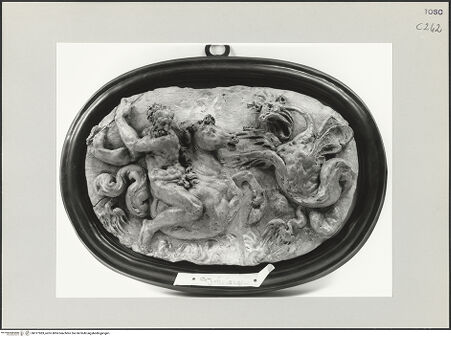 Vorderseite von bh517983_recto