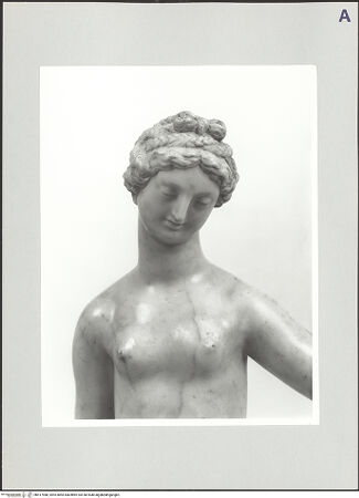 Vorderseite von bh517988_recto