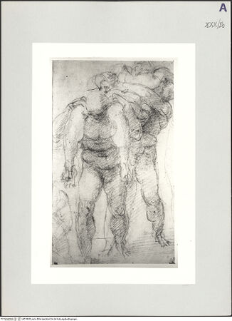 Vorderseite von bh518045_recto