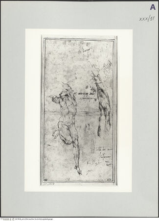 Vorderseite von bh518046_recto