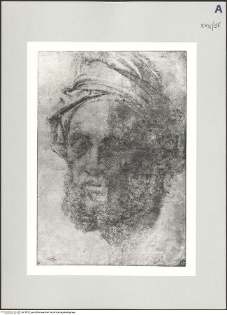 Vorderseite von bh518052_recto