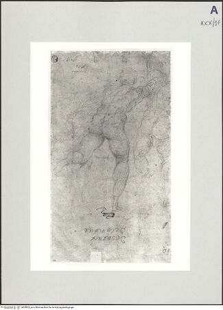 Vorderseite von bh518053_recto