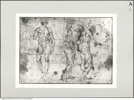 Vorderseite von bh518056_recto