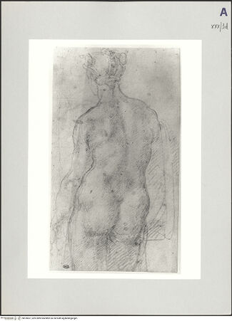 Vorderseite von bh518067_recto