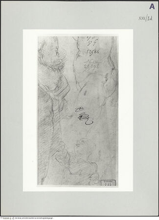 Vorderseite von bh518068_recto