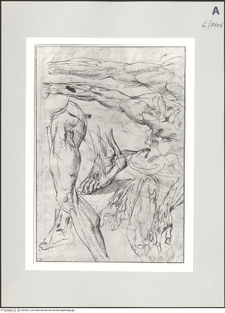 Vorderseite von bh518071_recto