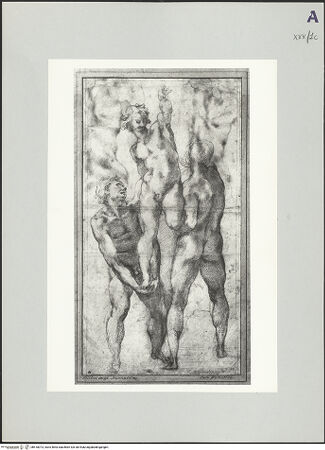 Vorderseite von bh518073_recto