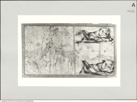 Vorderseite von bh518074_recto