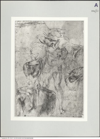 Vorderseite von bh518077_recto