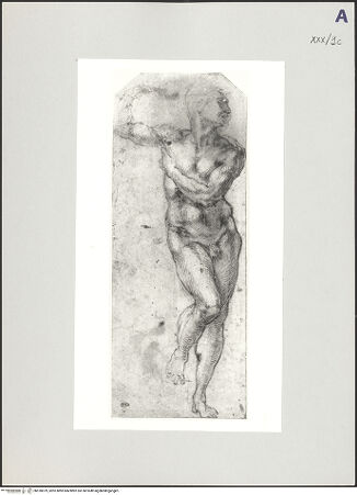 Vorderseite von bh518079_recto