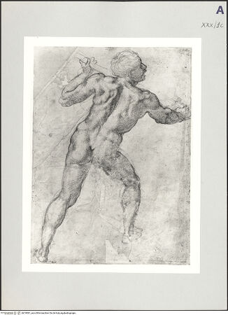 Vorderseite von bh518081_recto