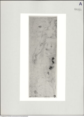 Vorderseite von bh518084_recto