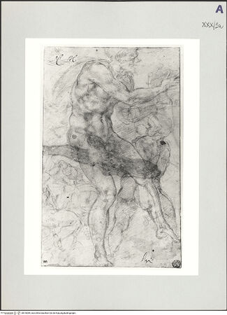 Vorderseite von bh518089_recto