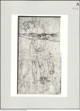 Vorderseite von bh518090_recto