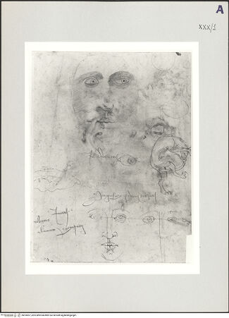 Vorderseite von bh518097_recto