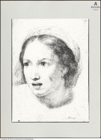 Vorderseite von bh518166_recto