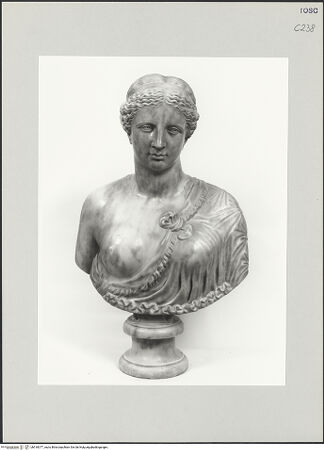 Vorderseite von bh518377_recto