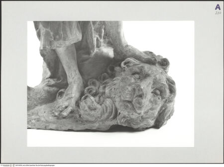 Vorderseite von bh518456_recto